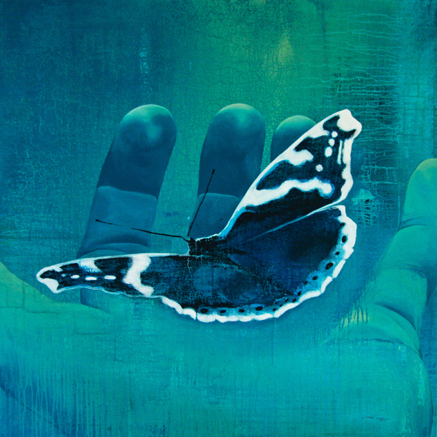 Fly 80x80 cm Privat eje