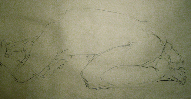 Croquis